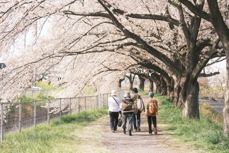 お花見